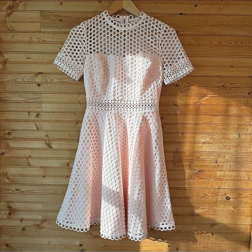Ted Baker Dress Fit & Flare Lace Pink Size 1 Coquette Twee Wedding Guest Ballet